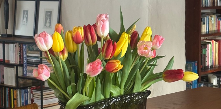 Märkmiku servad ja&nbsp;sädemed