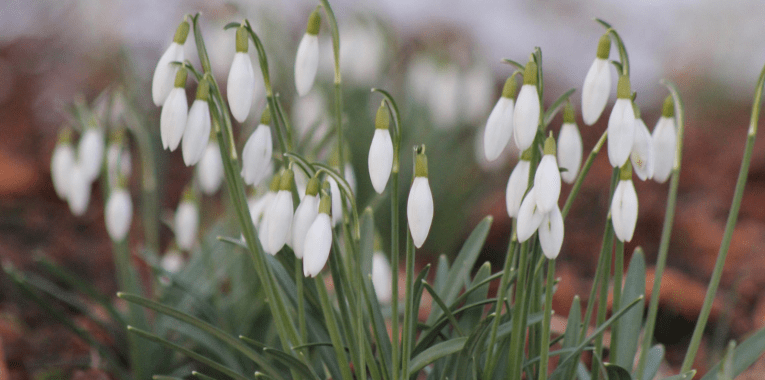 Kui märts sulatab maa&nbsp;südame